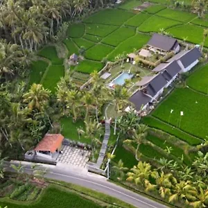 Green Coconut Ubud